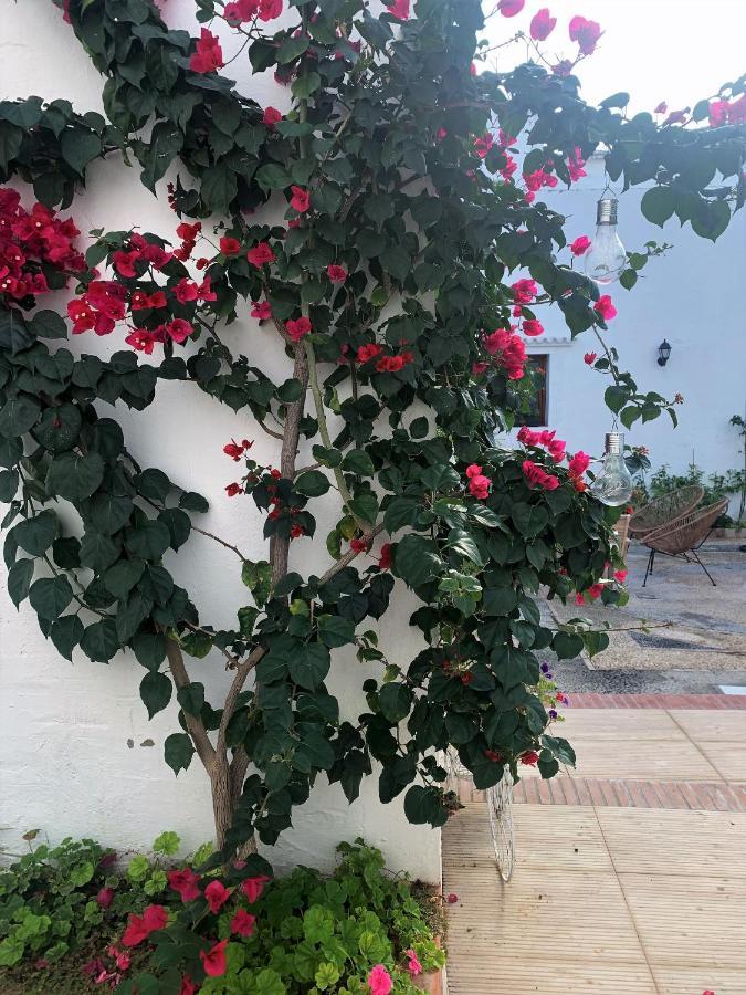 Patios Del Agua Bed and Breakfast El Puerto de Santa María Εξωτερικό φωτογραφία