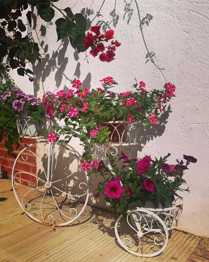Patios Del Agua Bed and Breakfast El Puerto de Santa María Εξωτερικό φωτογραφία