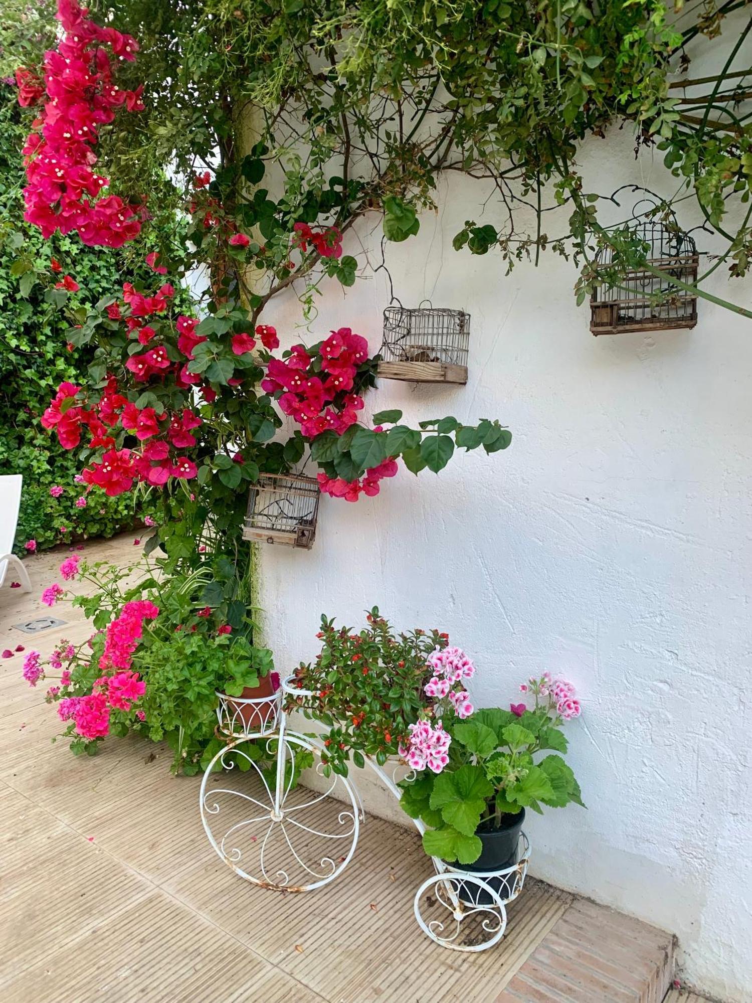 Patios Del Agua Bed and Breakfast El Puerto de Santa María Εξωτερικό φωτογραφία