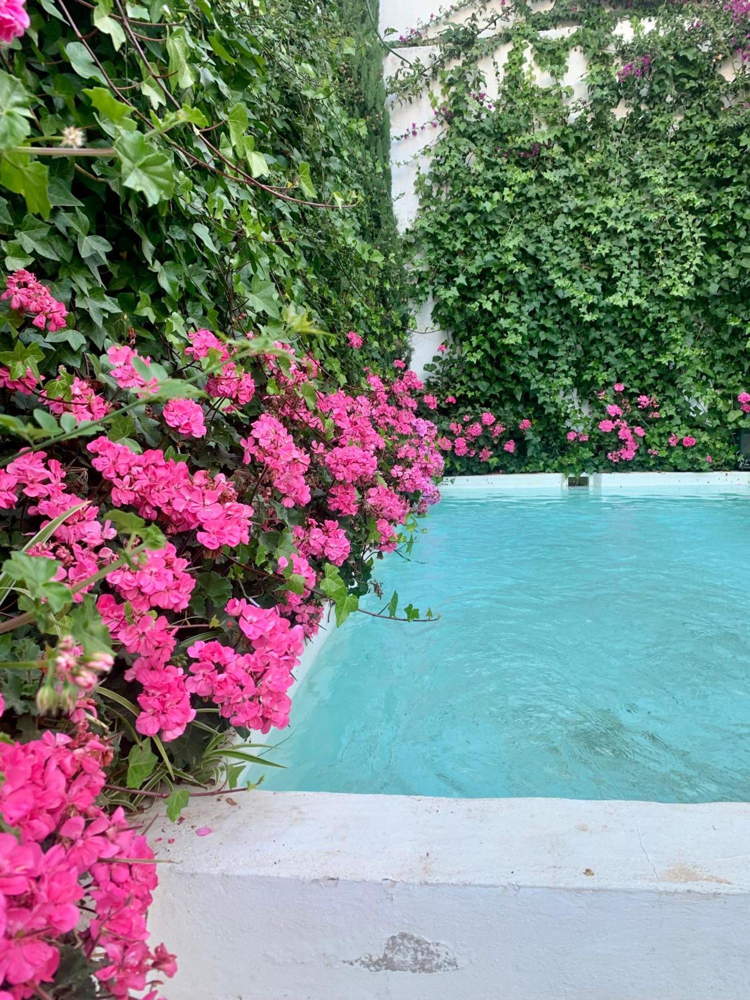 Patios Del Agua Bed and Breakfast El Puerto de Santa María Εξωτερικό φωτογραφία